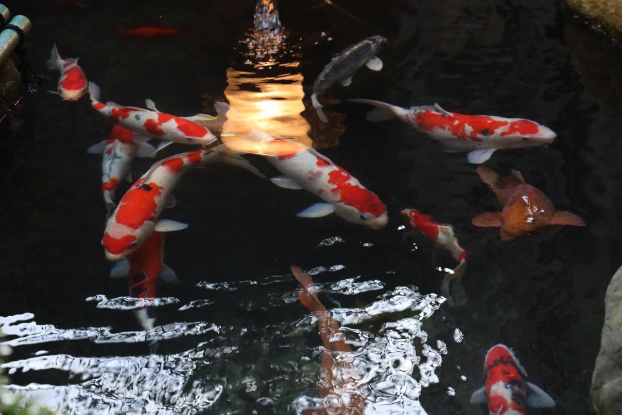 大仏旅館 高岡市 エクステリア 写真